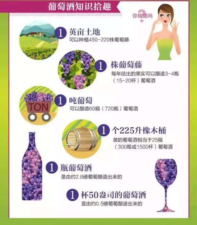酒店餐飲人必備的葡萄酒知識大全