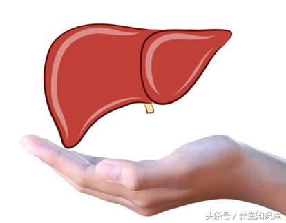 養肝不是難事，堅持做好「8個字」，能做到的越多，肝臟越健康！