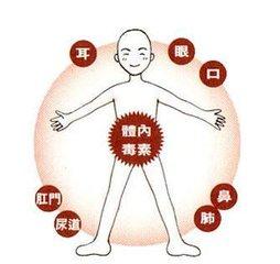 排出毒素好養生——最實用的五臟排毒法（建議收藏）