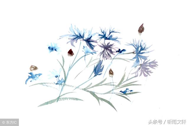 「復婚不到一周，你拿我的錢給小姑子陪嫁？」「咱都是一家人」
