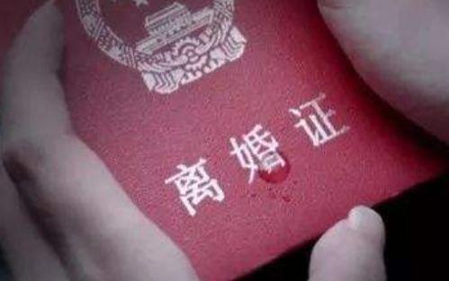 檢查出不孕，丈夫和我離了婚，兩年後重遇，我才知道一切是陰謀