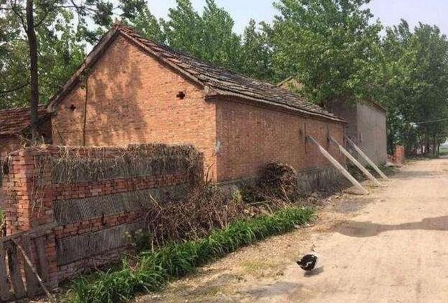 母親來借10萬給弟弟蓋新房，婆婆的話，讓我流淚了