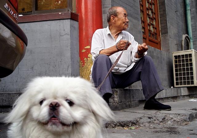 父親撿到一個錢包，等來失主卻被冤枉，他放下錢包後群眾鼓掌