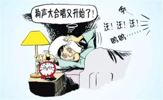 狗狗半夜吠叫被居民投訴，鏟屎官學會6招，狗狗半夜不吵鬧