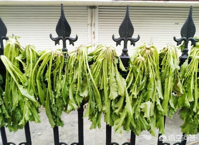 腌制鹹菜，用什麼材料比較好？怎麼製作？