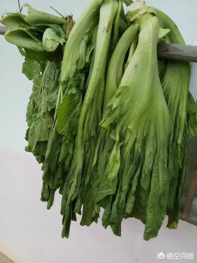 腌制鹹菜，用什麼材料比較好？怎麼製作？