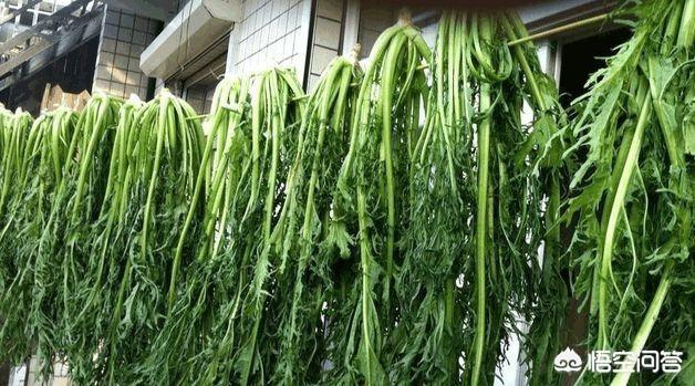 腌制鹹菜，用什麼材料比較好？怎麼製作？