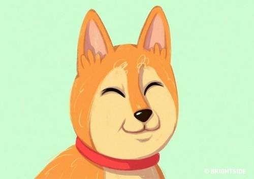汪星人的動作分析，向你翹尾巴並不是示好的意思