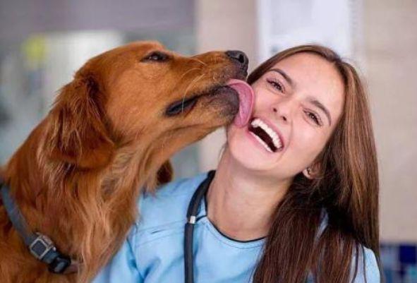 狗狗舔人的5種可能，你家狗狗屬於哪種？