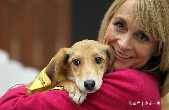 狗狗舔人的5種可能，你家狗狗屬於哪種？