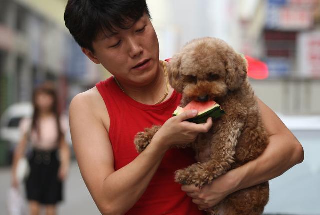 養狗之後，這6種食物要拉入「黑名單」，以免導致狗狗中毒