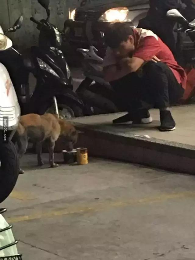 如果流浪貓狗靠近你，不是因為天冷了，它是在求救