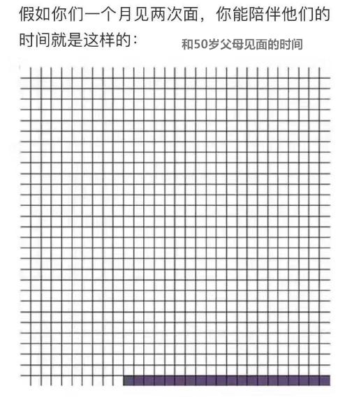 這幾個特徵表明狗狗很健康，如何照顧老年狗，讓它多活幾年