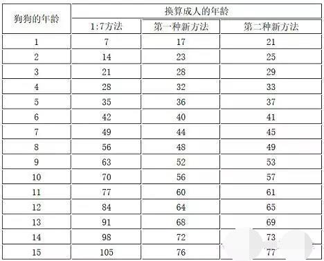 這幾個特徵表明狗狗很健康，如何照顧老年狗，讓它多活幾年