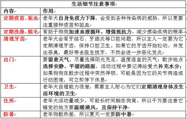 這幾個特徵表明狗狗很健康，如何照顧老年狗，讓它多活幾年