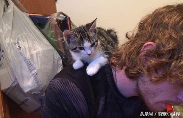 拒絕女友養貓！去收容所被怕人的小喵貼臉磨蹭，狗派男秒被收服
