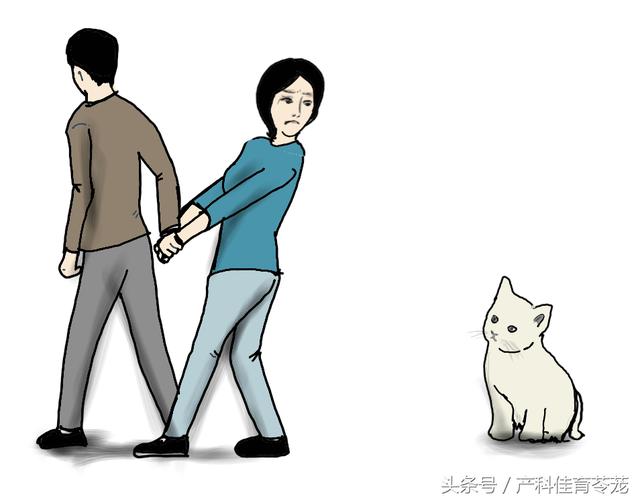 弓形蟲，不可不防也不必過防