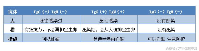 弓形蟲，不可不防也不必過防
