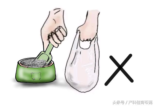 弓形蟲，不可不防也不必過防