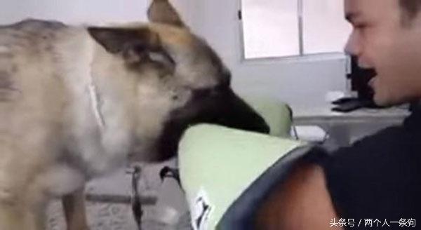 主人在愛犬安樂死時全程陪伴，看著狗狗慢慢閉上眼睛…他最後的撫摸讓大家都掉淚了...