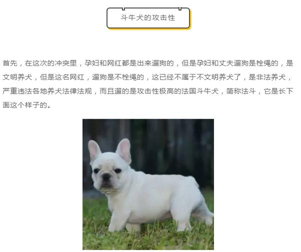 說法斗是烈性犬攻擊力極高，紫竹張先生你還能要點臉不？