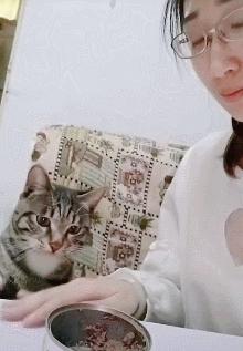  「為了吃罐罐」什麼都能做！喵喵「主動啾一個」：這樣可以嗎～