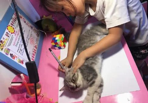 老師讓女孩回家畫貓，女孩突然想到一個好辦法，頓時讓人笑到岔氣