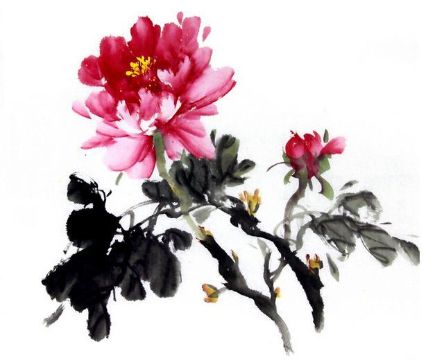 心理測試：選出你喜歡的牡丹花，測你靠什麼能發大財
