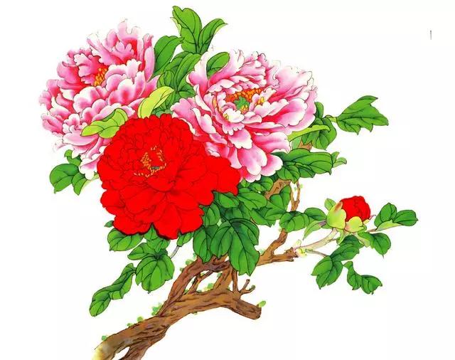 心理測試：選出你喜歡的牡丹花，測你靠什麼能發大財
