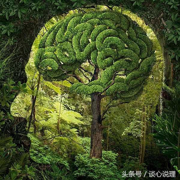 心理測試：第一眼看到什麼，測試你能守得住內心的秘密嗎？ 