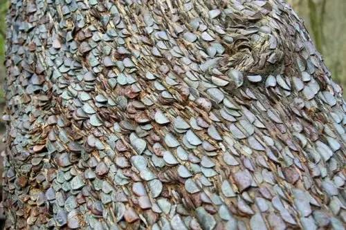 密集恐懼症有救啦，這裡有完善的治療方法！