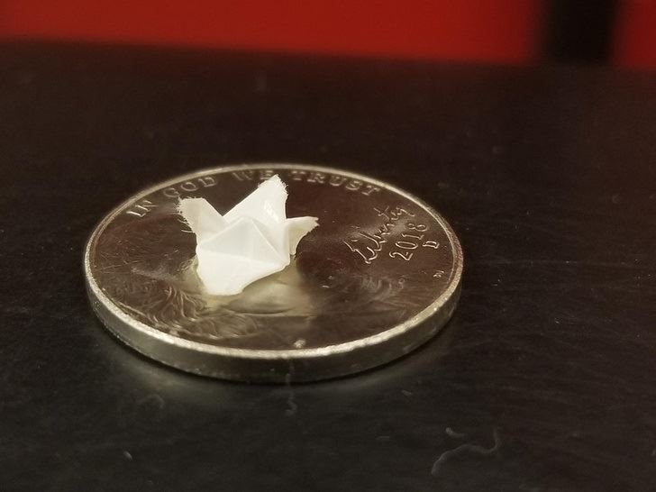 當你太無聊時會如何呢？看看這20位知道如何讓生活變得更有趣的人吧！