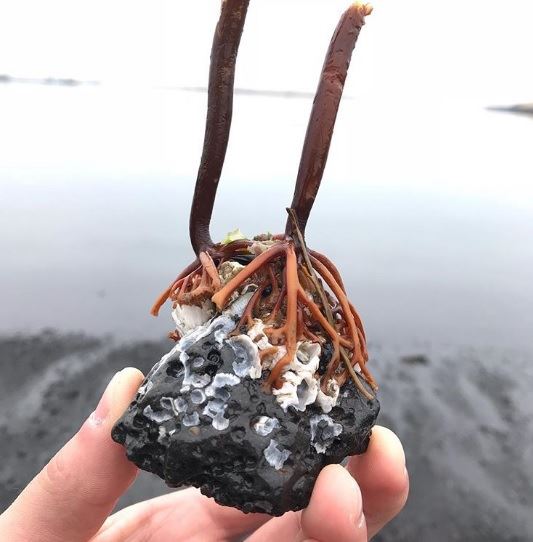 這25張精彩照片展現出大自然的力量是無窮無盡！大自然真的太可怕了！