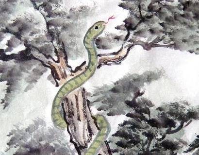 這7大生肖的人，十個有九個是「土豪」 