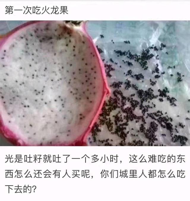 笑死人不償命的爆笑圖片，吃火龍果吐籽吐了一小時