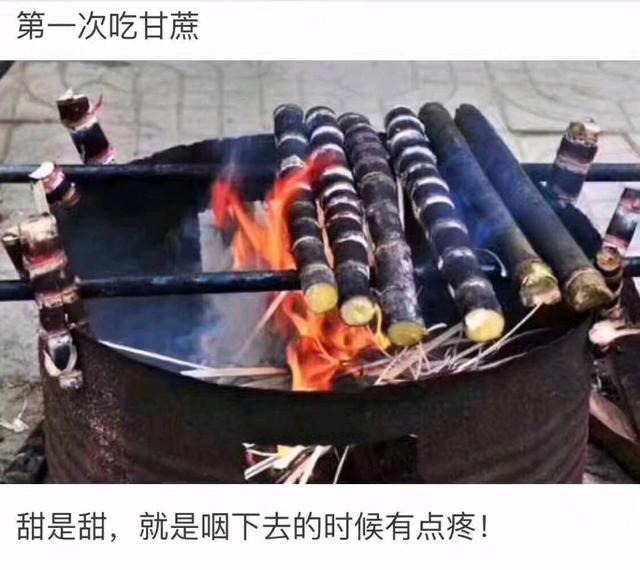 笑死人不償命的爆笑圖片，吃火龍果吐籽吐了一小時