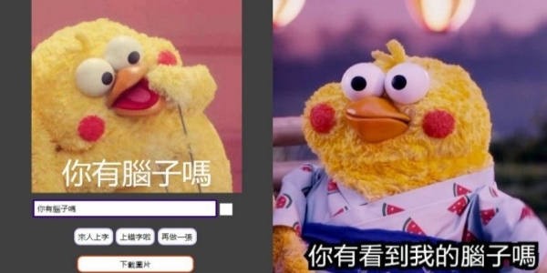 鸚鵡圖實在太有梗！網發現「鸚鵡os產生器」，靠北劇情神展開！