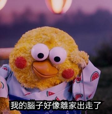 鸚鵡圖實在太有梗！網發現「鸚鵡os產生器」，靠北劇情神展開！
