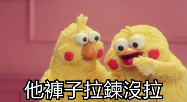 鸚鵡圖實在太有梗！網發現「鸚鵡os產生器」，靠北劇情神展開！