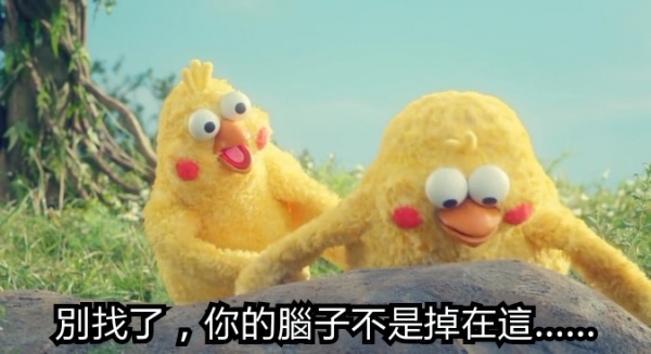 鸚鵡圖實在太有梗！網發現「鸚鵡os產生器」，靠北劇情神展開！