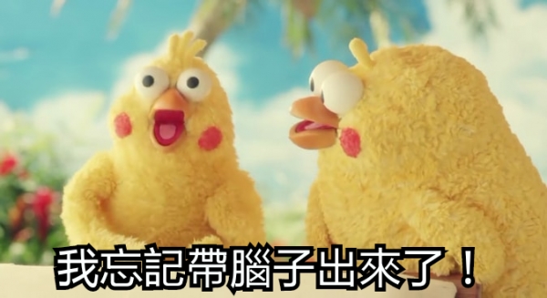 鸚鵡圖實在太有梗！網發現「鸚鵡os產生器」，靠北劇情神展開！