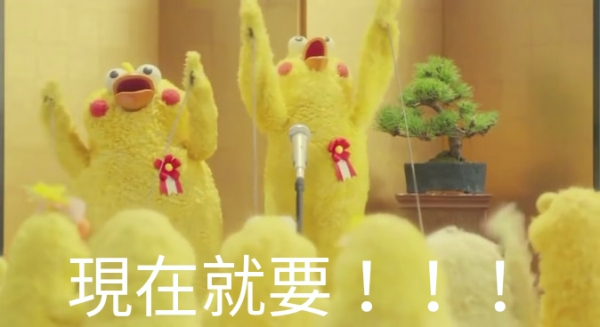 鸚鵡圖實在太有梗！網發現「鸚鵡os產生器」，靠北劇情神展開！