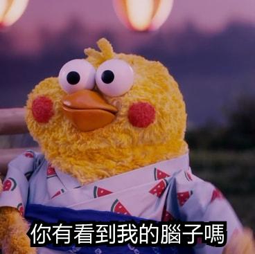 鸚鵡圖實在太有梗！網發現「鸚鵡os產生器」，靠北劇情神展開！