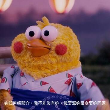 鸚鵡圖實在太有梗！網發現「鸚鵡os產生器」，靠北劇情神展開！