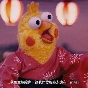 鸚鵡圖實在太有梗！網發現「鸚鵡os產生器」，靠北劇情神展開！