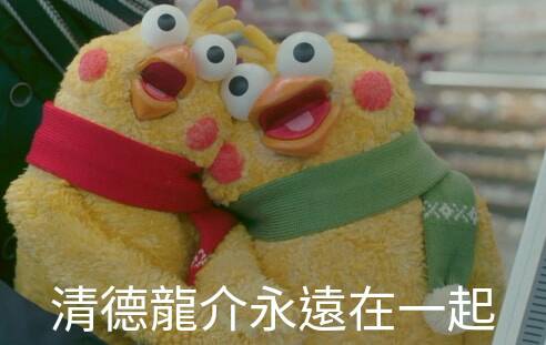 鸚鵡圖實在太有梗！網發現「鸚鵡os產生器」，靠北劇情神展開！