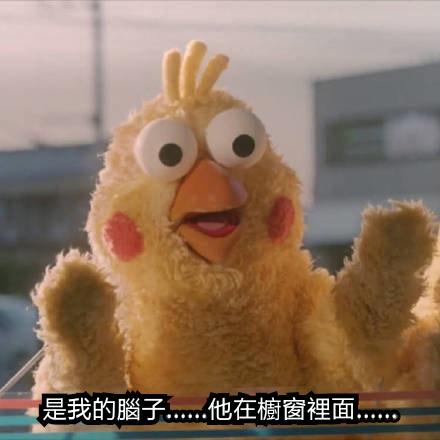 鸚鵡圖實在太有梗！網發現「鸚鵡os產生器」，靠北劇情神展開！