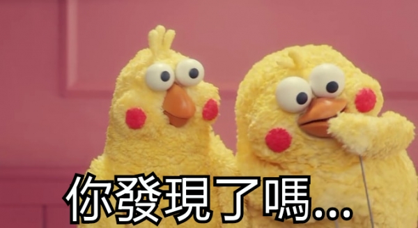 鸚鵡圖實在太有梗！網發現「鸚鵡os產生器」，靠北劇情神展開！