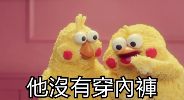 鸚鵡圖實在太有梗！網發現「鸚鵡os產生器」，靠北劇情神展開！