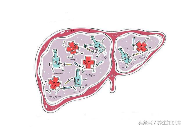 肝不好，遠離「三物」，多吃「四綠」，做好五件事，肝會慢慢變好